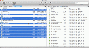 como-hacer-un-downgrade-en-wordpress-10