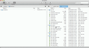 como-hacer-un-downgrade-en-wordpress-2